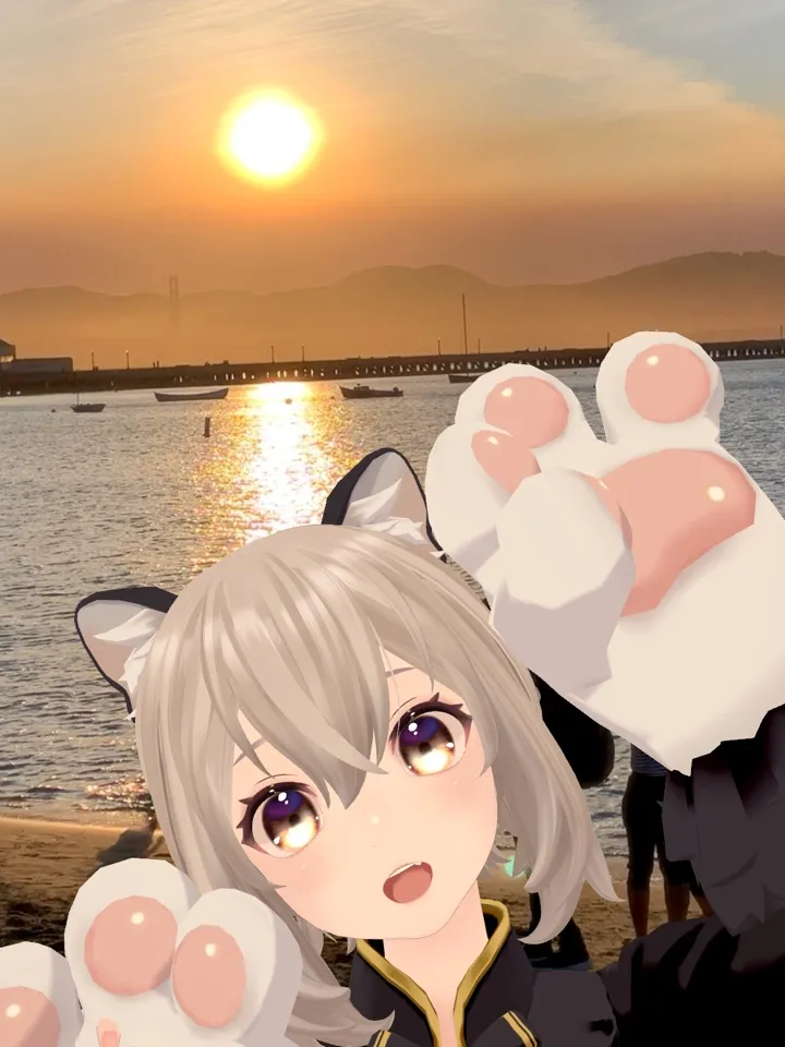 VCam Camera
